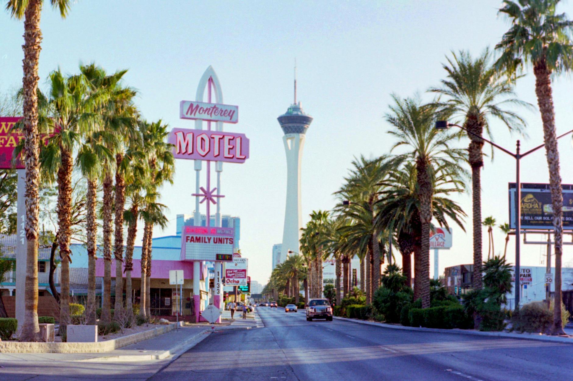 Las Vegas Boulevard street view with Stratosphere tower and palm trees, photo by Get Lost Mike via Pexels
